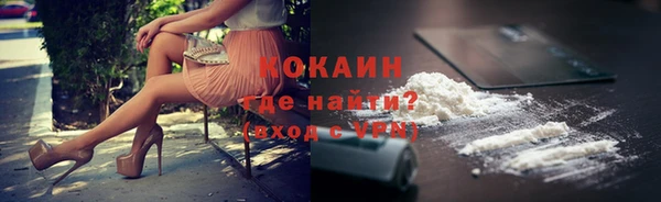 трава Бородино