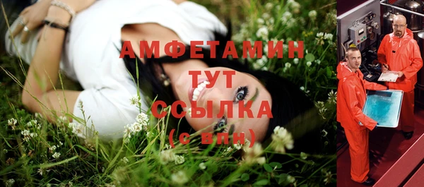 трава Бородино
