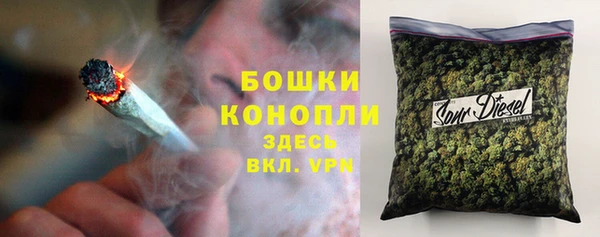 трава Бородино